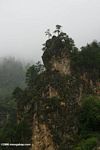 Forested rock outcropping in Yunnan
