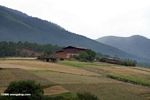 Tibetan farm homes in NW Yunnan