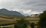 Tibetan farm houses