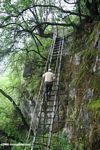 Climbing a ladder to reach a waterfall in Yunnan