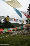 Tibetan Buddhist prayer flags at Da bao si