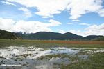 Flooded grassland near Zhongdian