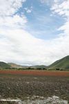 Tibetan pasture