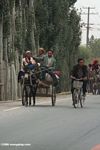 Uighurs driving a donkey cart on the Xinjiang highway