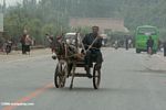 Uighur man driving a donkey cart