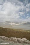High elevation wetland near the Karakoram highway