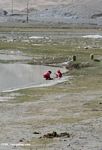 Tajik kids playing on the shore of Lake Karakol
