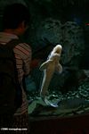 Visitor checking out a sturgeon at the Shanghai aquarium