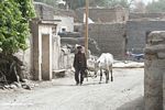 Man with a pony in Kusrap