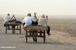 Men in a donkey cart crossing a desert road