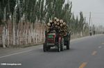 Man driving a tractor carry logs near Kashgar