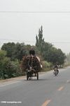 Man sitting atop a pile of sticks while driving a donkey