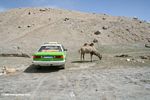 Two forms of Chinese transportation: taxi and camel