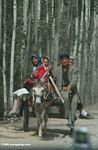 Villagers in donkey cart in Kusrap