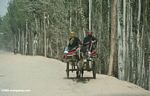 Couple in a donkey-driven cart in Kusrap