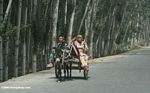 Women in a donkey cart in Kusrap