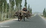 Man riding atop a load of sticks in Kusrap