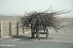 Man with donkey cart filled with sticks