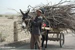 Man with donkey cart in Yarkand