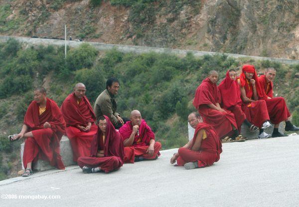 Viele Mönche in Rotem, einen Bus tibetanisches