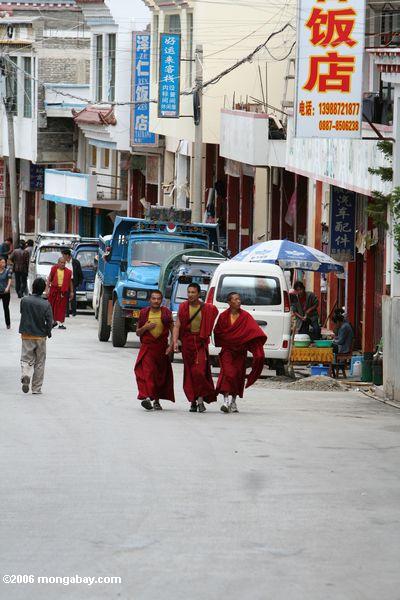 Mönche, die hinunter eine Stadtstraße tibetanisches