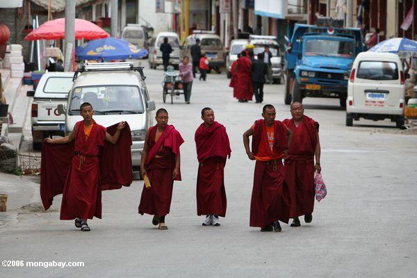 Mönche auf einer Stadtstraße