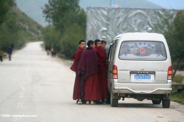 Junge Mönche, die mit dem Treiber von einem minivan tibetanischen