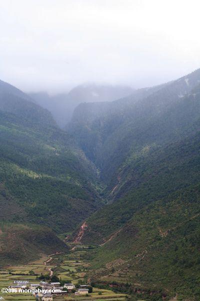 Bewaldete Senke in Yunnan