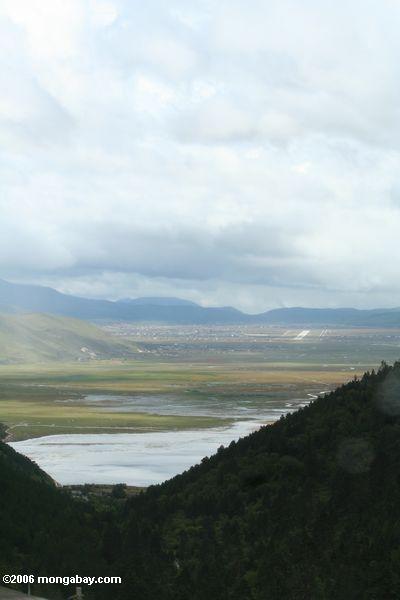 Überweide zu Zhongdian tibetanisches Yunnan