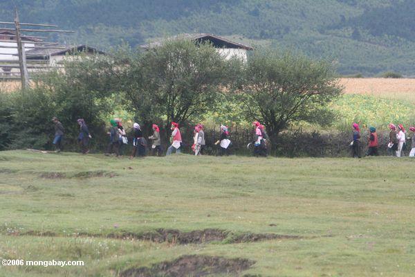 тибетских женщин, возвращающихся из поля возле ринга