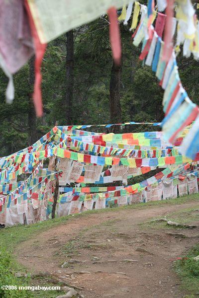буддийские молитвы флаги на ринг монастырь