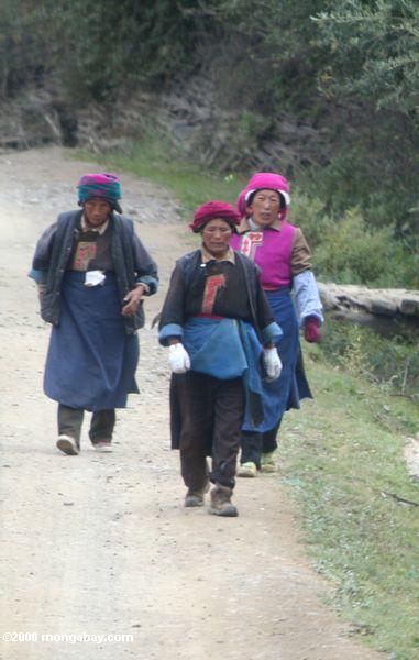 Tibetanische Frauen, die auf eine Straße nahe Ringa tibetanisches