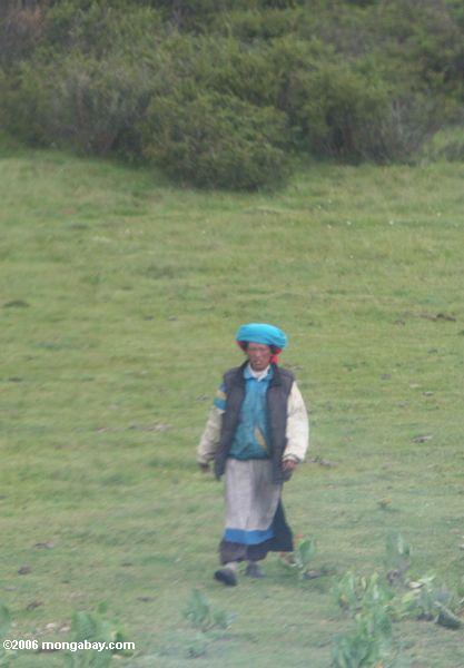 Mulher tibetana com um scarf principal azul em um campo