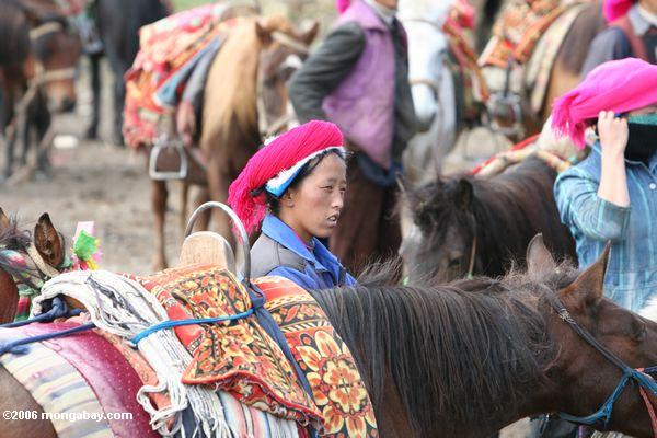 молодые тибетские женщина готовит для руководства ее лошадь