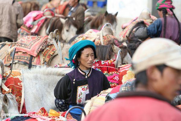 Tibetanische Frau mit einem Türkisschal unter einer Gruppe Pferden