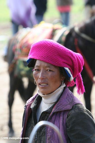 Tibetanische Frau mit einem fuchsia headscarf