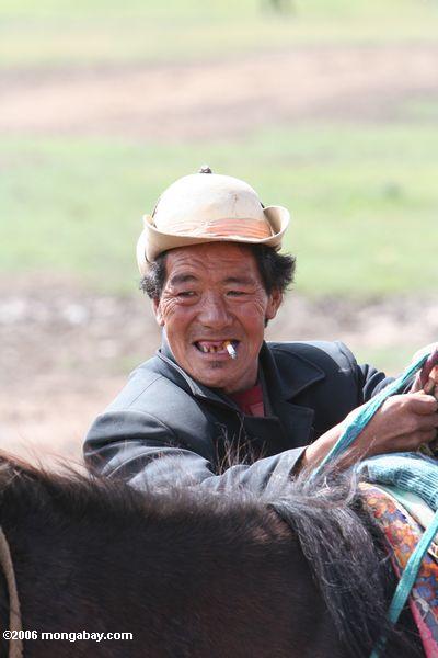 Tibetanischer Cowboy, der tibetanisches