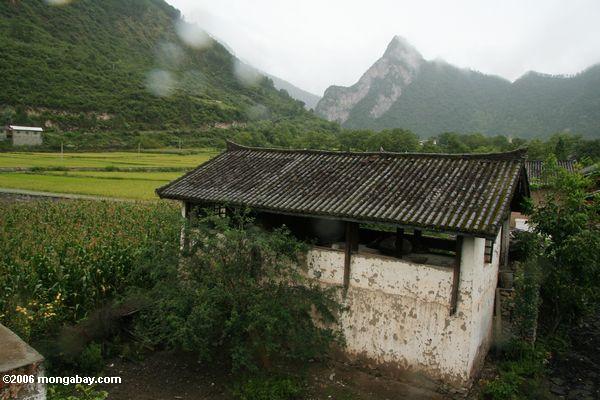 домик на ферме возле qizhong