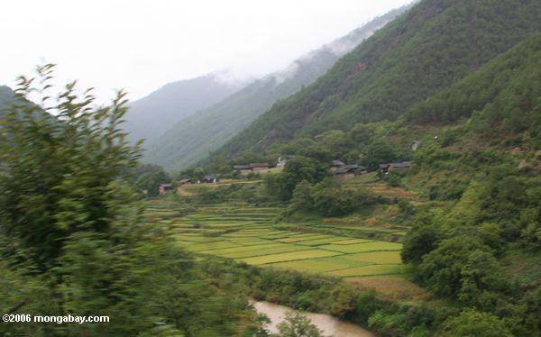 деревня окружена горами, и рисовые поля на северо-запад провинции Юньнань