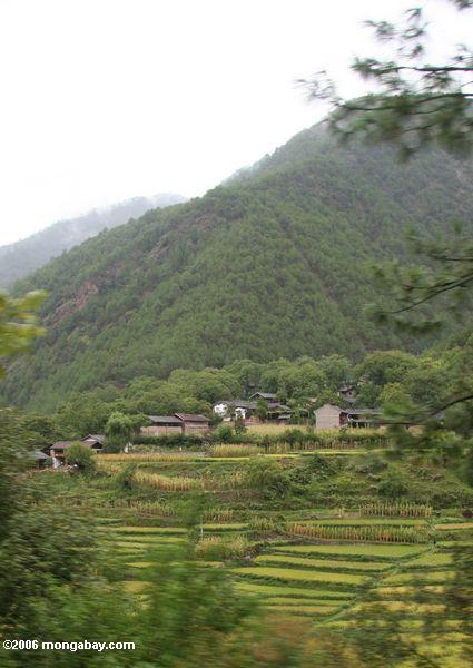 qizhong村の近くの山々と水田に囲まれて