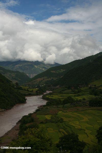 中国では、メコン川渓谷上流の水田