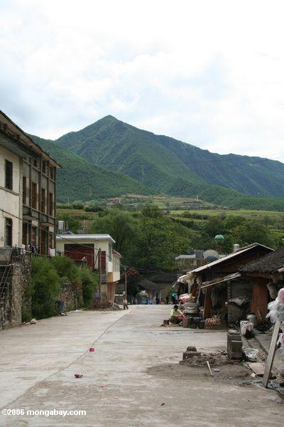 Ansicht des bewaldeten Berges nahe Huafenpin, ein Dorf, das durch eine Verdammung auf dem Mekong tibetanisches Yunnan