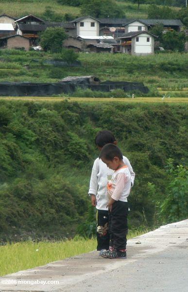 двух молодых детей вдоль дороги в провинции Юньнань
