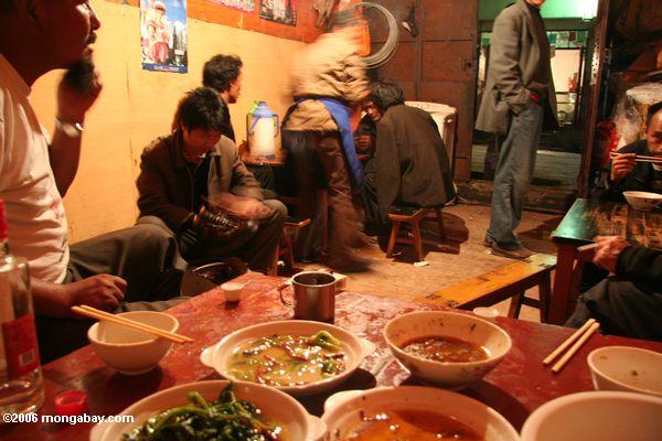 Tibetanisches Gaststätte-Restaurant