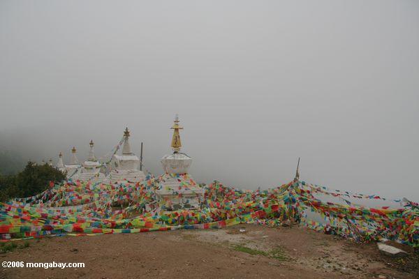 Tibetanische Gebetmarkierungsfahnen in Deqin