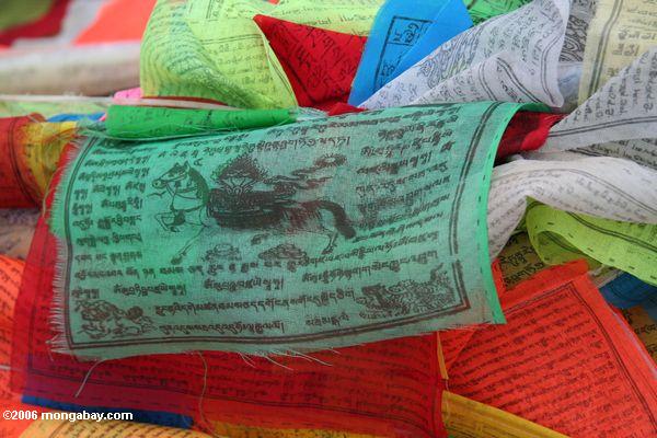 Tibetanisches Gebet kennzeichnet