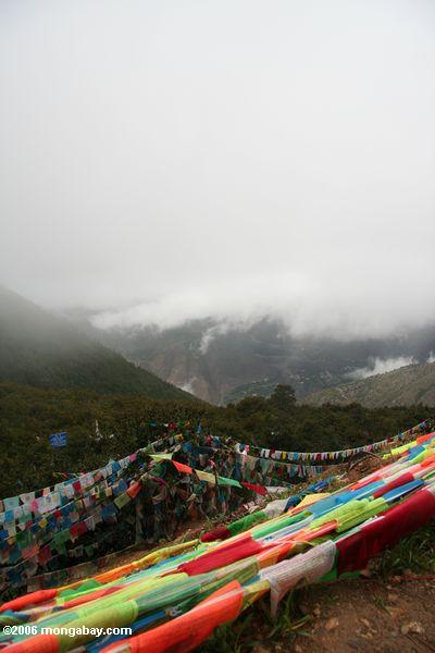 буддийские молитвы флаги на meili снегом горных Outlook