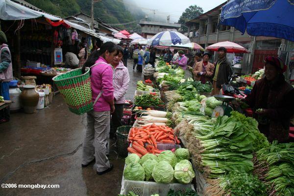 Gemüse am Markt in Deqin