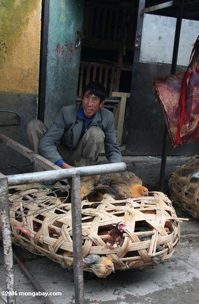 Verkäufer des Fleisches (Geflügel) in Deqin