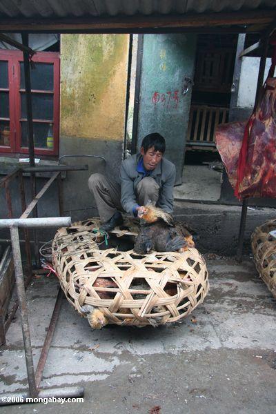 Ein Huhnhändler in China